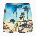 Pantaloncini da bagno Quiksilver Everyday Paradise Volley 15" snapdragon da uomo