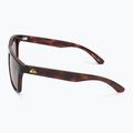 Occhiali da sole da uomo Quiksilver Ferris marrone tartaruga 4