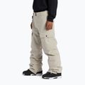 Pantaloni da snowboard DC Code da uomo plaza taupe 3