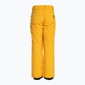 Quiksilver Estate Pantaloni da snowboard per bambini Gioventù giallo minerale 6