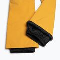 Quiksilver Estate Pantaloni da snowboard per bambini Gioventù giallo minerale 8