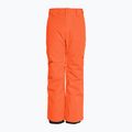 Pantaloni da snowboard Quiksilver Estate Youth granata da bambino 2