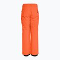 Pantaloni da snowboard Quiksilver Estate Youth granata da bambino 3