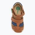 Sandali per bambini Kickers Kick Pod camel/navy 5