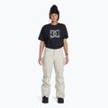 Pantaloni da snowboard da donna DC Nonchalant fodera argento 2