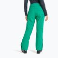 Pantaloni da snowboard donna ROXY Backyard vivid green 3
