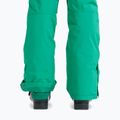 Pantaloni da snowboard donna ROXY Backyard vivid green 8
