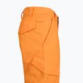 Pantaloni da snowboard per bambini DC Banshee oriole 6
