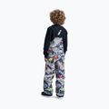 Salopette da snowboard per bambini DC Roadblock Youth Bib outer world black 2