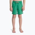 Pantaloncini da bagno bambino Quiksilver Everyday Volley 14" leprechaun 3