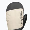 Guanti da snowboard da uomo DC Franchise Mitt 10K oatmeal 3