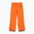 Pantaloni da snowboard bambino Quiksilver Estate vermillon 7