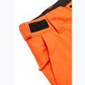 Pantaloni da snowboard bambino Quiksilver Estate vermillon 9
