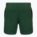 Pantaloncini da tennis da uomo Lacoste GH0138 green 2
