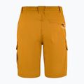 Pantaloncini da trekking da uomo Aulp Banco kombucha 4