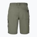 Pantaloncini da trekking da uomo Aulp Banco lichen 4