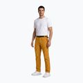 Pantaloni da trekking da uomo Aulp Brady kombucha 2