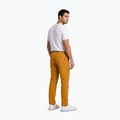 Pantaloni da trekking da uomo Aulp Brady kombucha 3