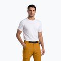 Pantaloni da trekking da uomo Aulp Brady kombucha 4