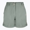 Pantaloncini da trekking da donna Aulp Derby lichen 3