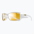 Occhiali da sole Julbo Reactive Performance 2-4 zebra/blanc brilliant