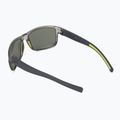 Occhiali da sole Julbo Renegade Ractiv 2-3 tranlucide brilliant 2