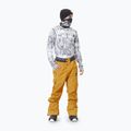 Pantaloni da sci da uomo Picture Object 20/20 cammello 2
