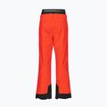 Pantaloni da sci Picture da uomo Picture Object 20/20 rosso 2