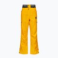 Pantaloni da sci da uomo Picture Object 20/20 giallo