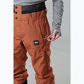 Pantaloni da sci Picture Object 20/20 nutz da uomo 4
