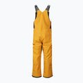Pantaloni da sci Picture Testy Bib da uomo 10/10 cammello 2
