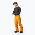 Pantaloni da sci da uomo Picture Object 20/20 cammello 2