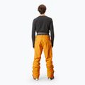 Pantaloni da sci da uomo Picture Object 20/20 cammello 3