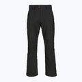 Pantaloni da sci uomo Picture Plan 10/10 black 7