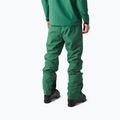 Pantaloni da sci uomo Picture Object 20/20 smoke pine 3
