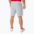 Pantaloncini da tennis Lacoste da uomo GH3822 argento/ grigio elefante 3