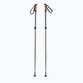 Bastoncini da sci Elan Voyager Rod neri