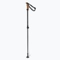 Bastoncini da sci Elan Voyager Rod neri 6