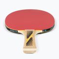 Racchetta da tennis da tavolo Donic-Schildkröt Legends 300 FSC 705234 2