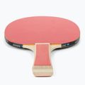 Set da tennis da tavolo Donic-Schildkröt Appelgren 300 788634 3