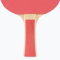 Set da tennis da tavolo Donic-Schildkröt Appelgren 300 788634 4