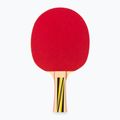 Set regalo per tennis da tavolo Donic-Schildkröt Top Team 500 788451 2