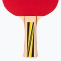 Set regalo per tennis da tavolo Donic-Schildkröt Top Team 500 788451 5