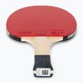Racchetta da tennis da tavolo Butterfly Timo Boll SG11 2