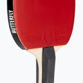 Racchetta da tennis da tavolo a farfalla Timo Boll SG33 3