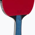 Racchetta da tennis da tavolo Butterfly Timo Boll Gold 5