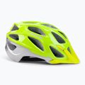 Casco da bici Alpina Mythos 3.0 L.E. visibile/argento lucido 3