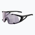 Occhiali da sole Alpina Hawkeye Q-Lite V nero opaco/viola 5