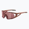 Occhiali da sole Alpina Hawkeye Q-Lite mattone opaco/nero rosso specchiato