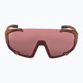 Occhiali da sole Alpina Hawkeye Q-Lite mattone opaco/nero rosso specchiato 2
